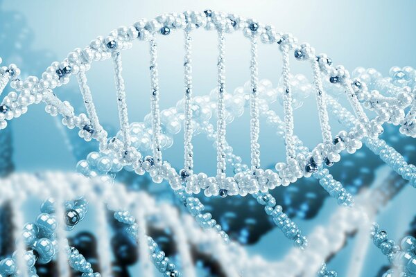 DNA model in Zd format