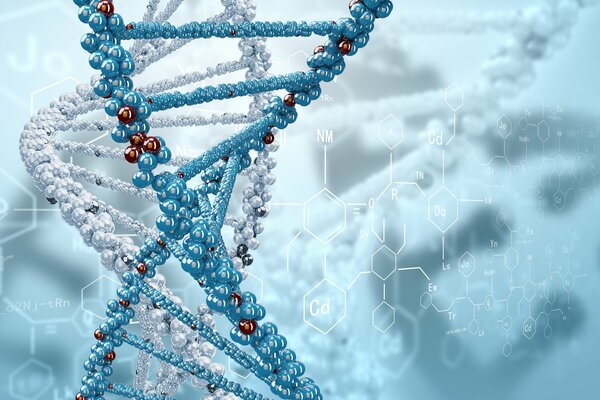 DNA formulas in the form of a spiral