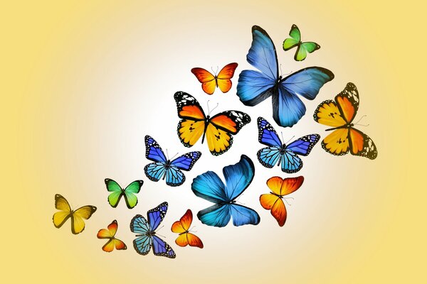 Diseño de marica, mariposas, muchas mariposas, mariposas sobre fondo naranja