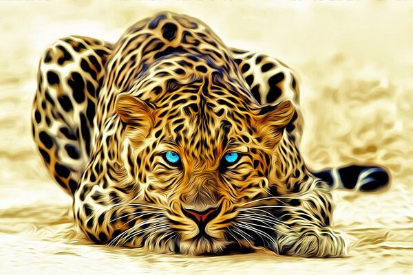 A bold fierce leopard with blue eyes