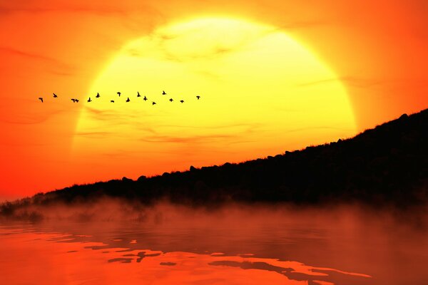 Puesta de sol con la silueta del bosque, el río y las aves