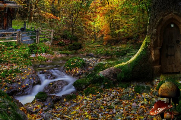 La puerta al cuento del bosque de otoño