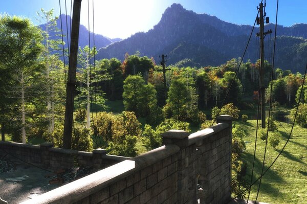 Landscape of mountainous terrain and trees