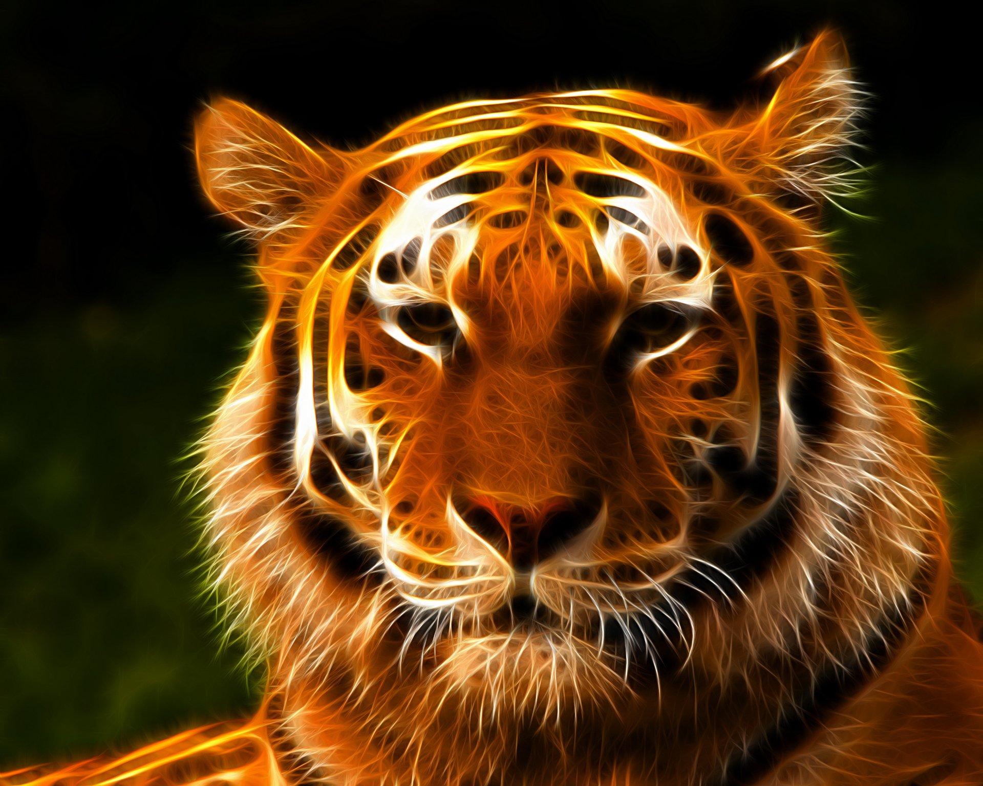 tigre hocico vista gráficos 3d