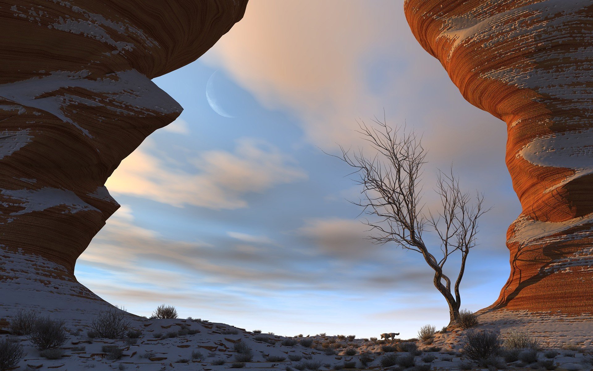 nature rock tree sky clouds moon