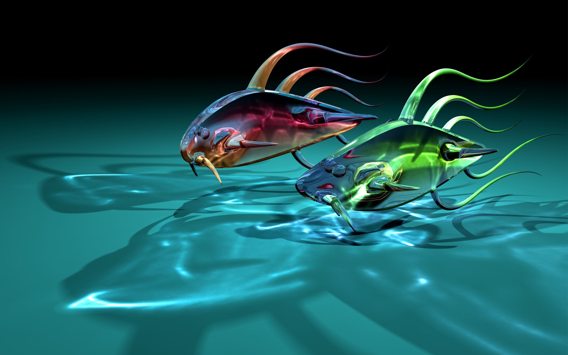 l art les poissons les poissons les deux le verre transparent ombre