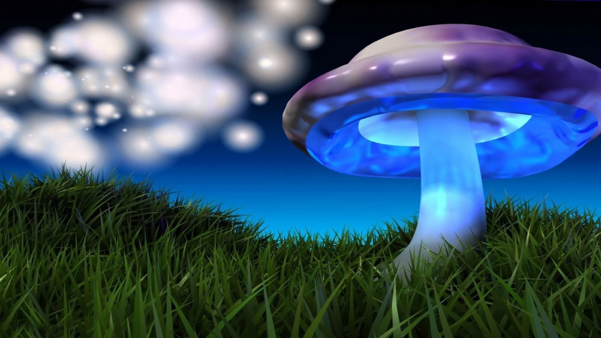 image 3d champignon multicolore herbe verte