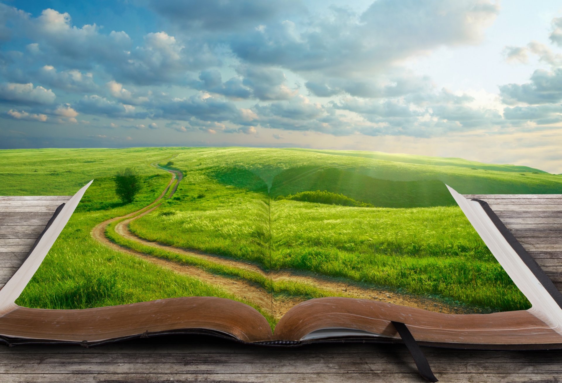 book landscape the world road grass tab tree cloud