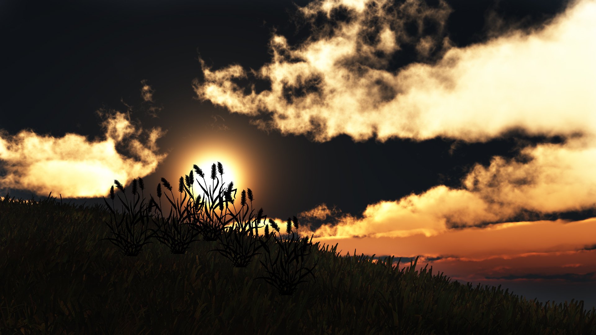 art nature sunset hill grass silhouettes sun cloud