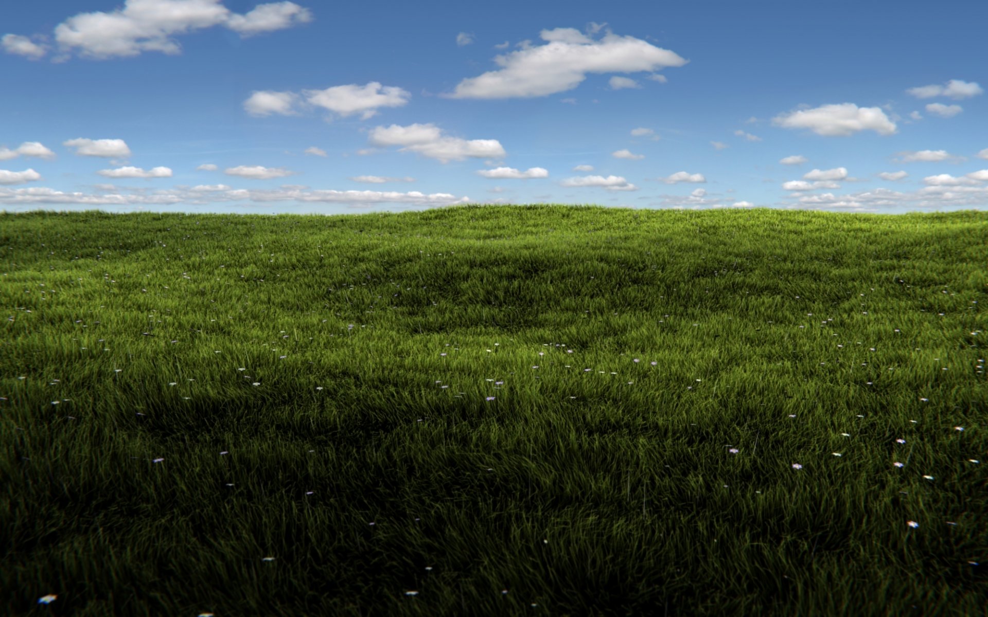 grass summer render blender sun field greenery sky clouds summer rendering windows :