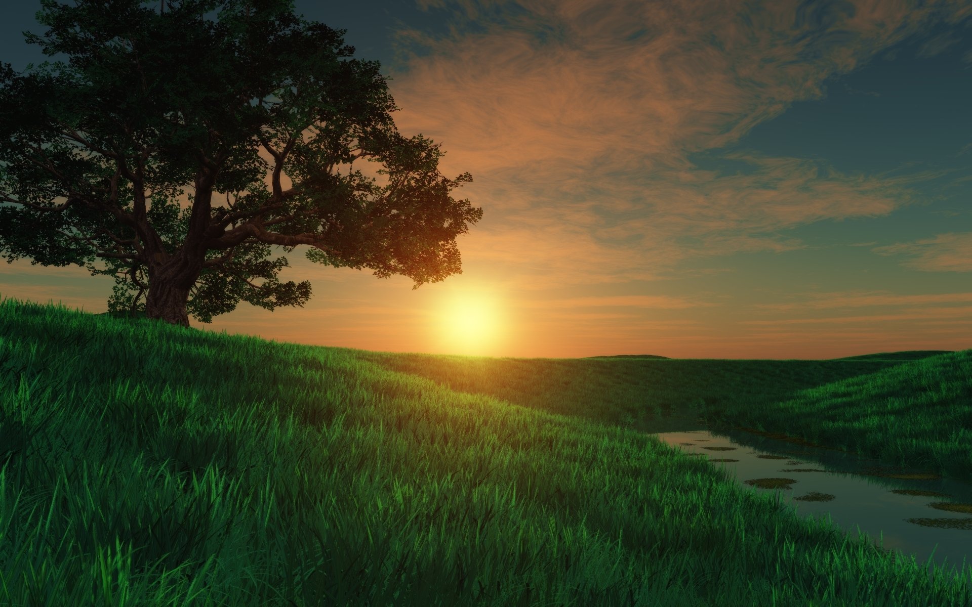 art tree field grass meadow sunset river river