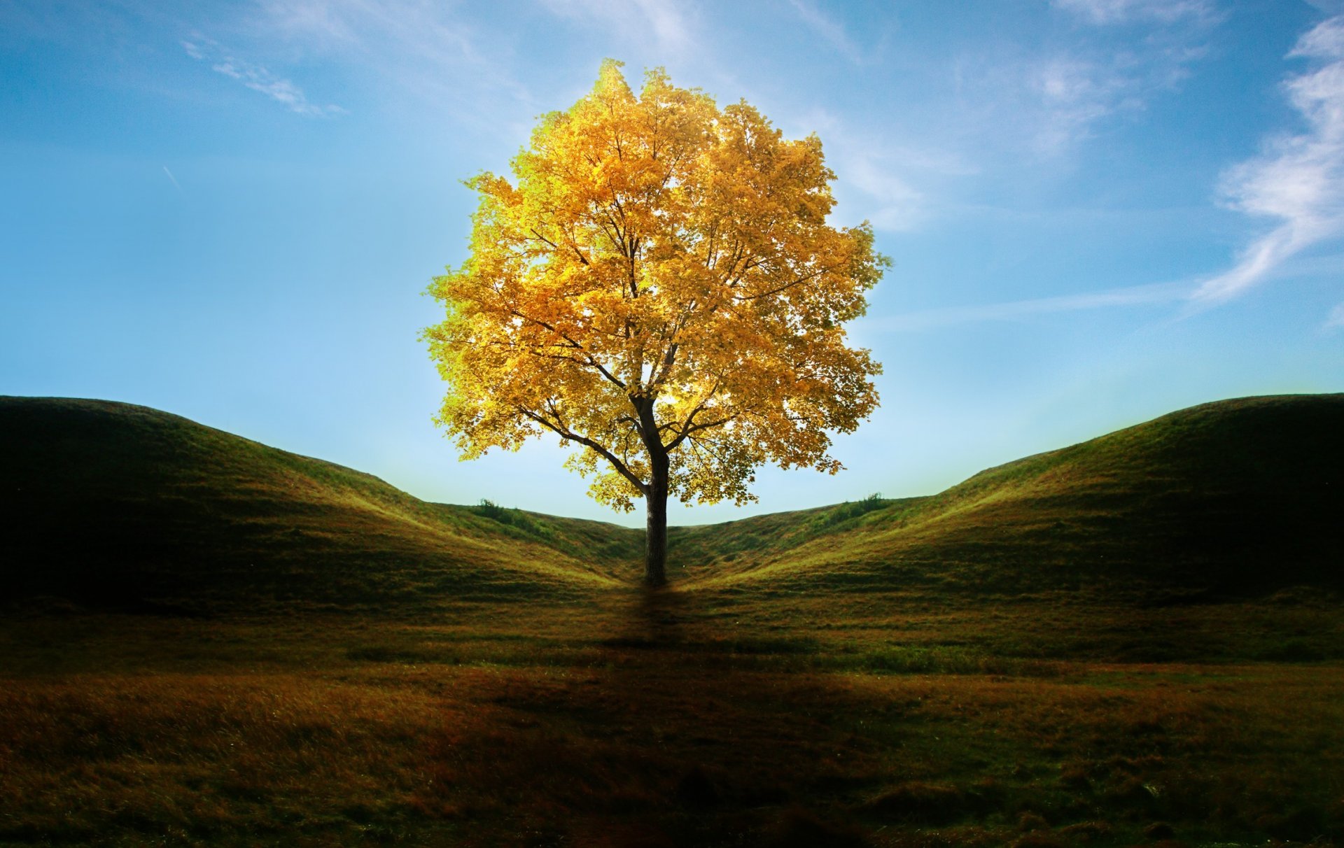 art tree yellow leaves autumn shadow hills gra