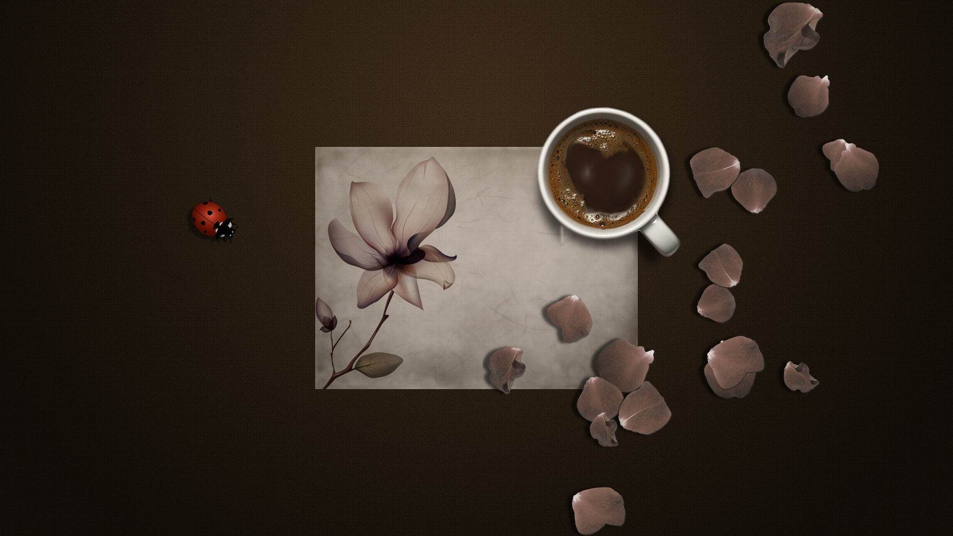 un fond de café tasse de voyage coccinelle insecte papier fleur pétales