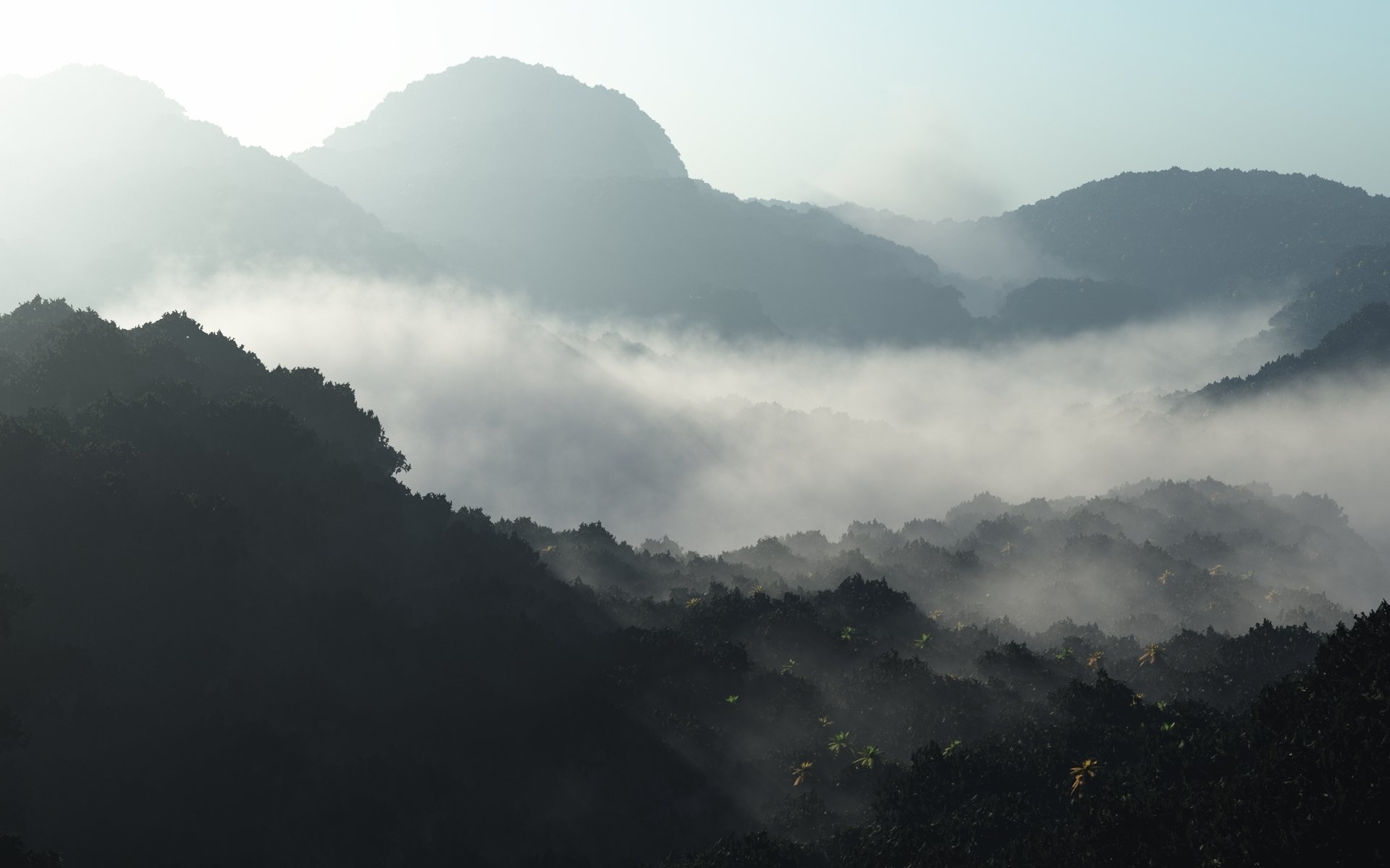 kunst hügel nebel wald morgen morgendämmerung