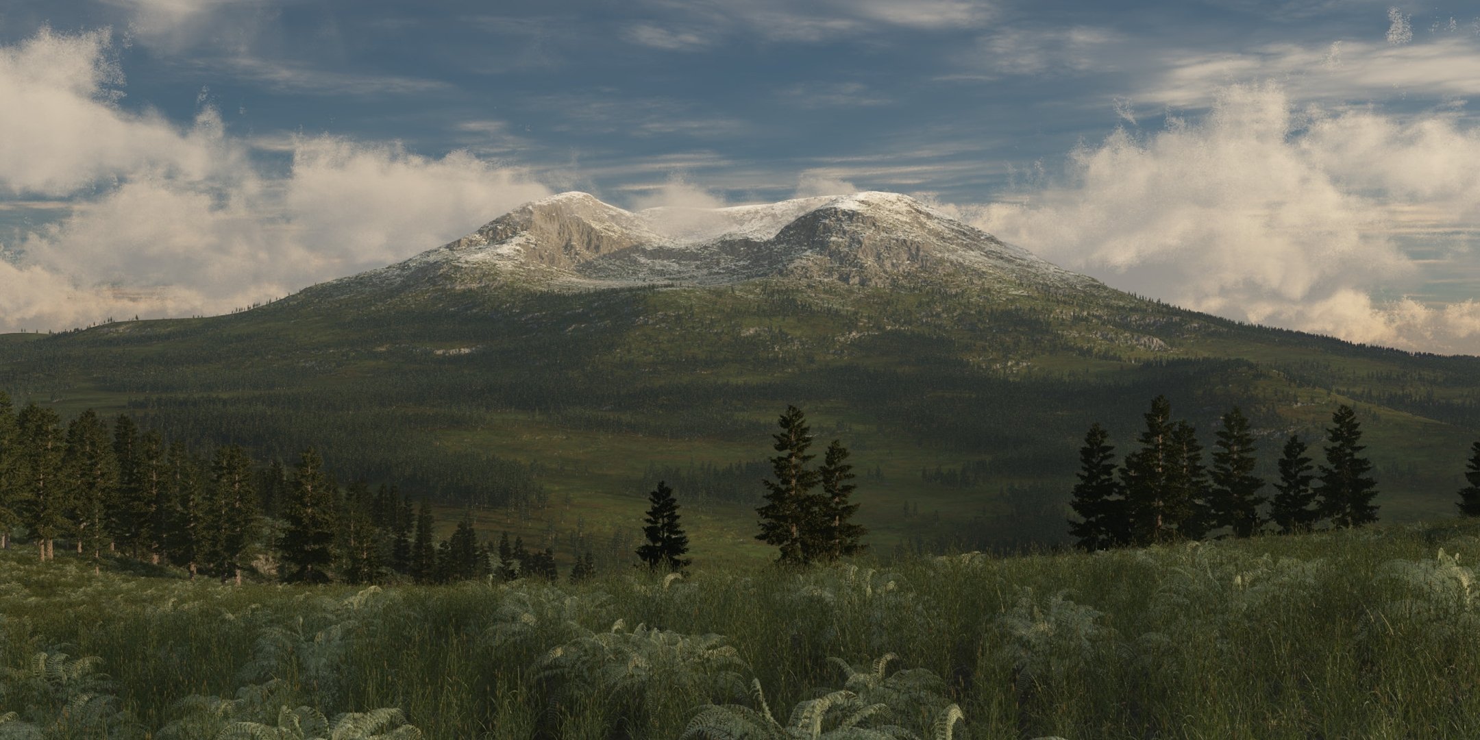 art nature mountain vernshina grass tree spruce hill