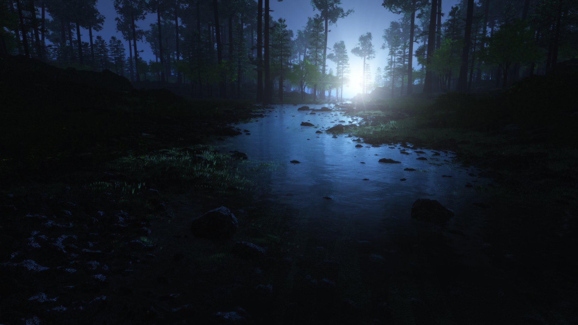 bosque mañana árboles amanecer piedras agua