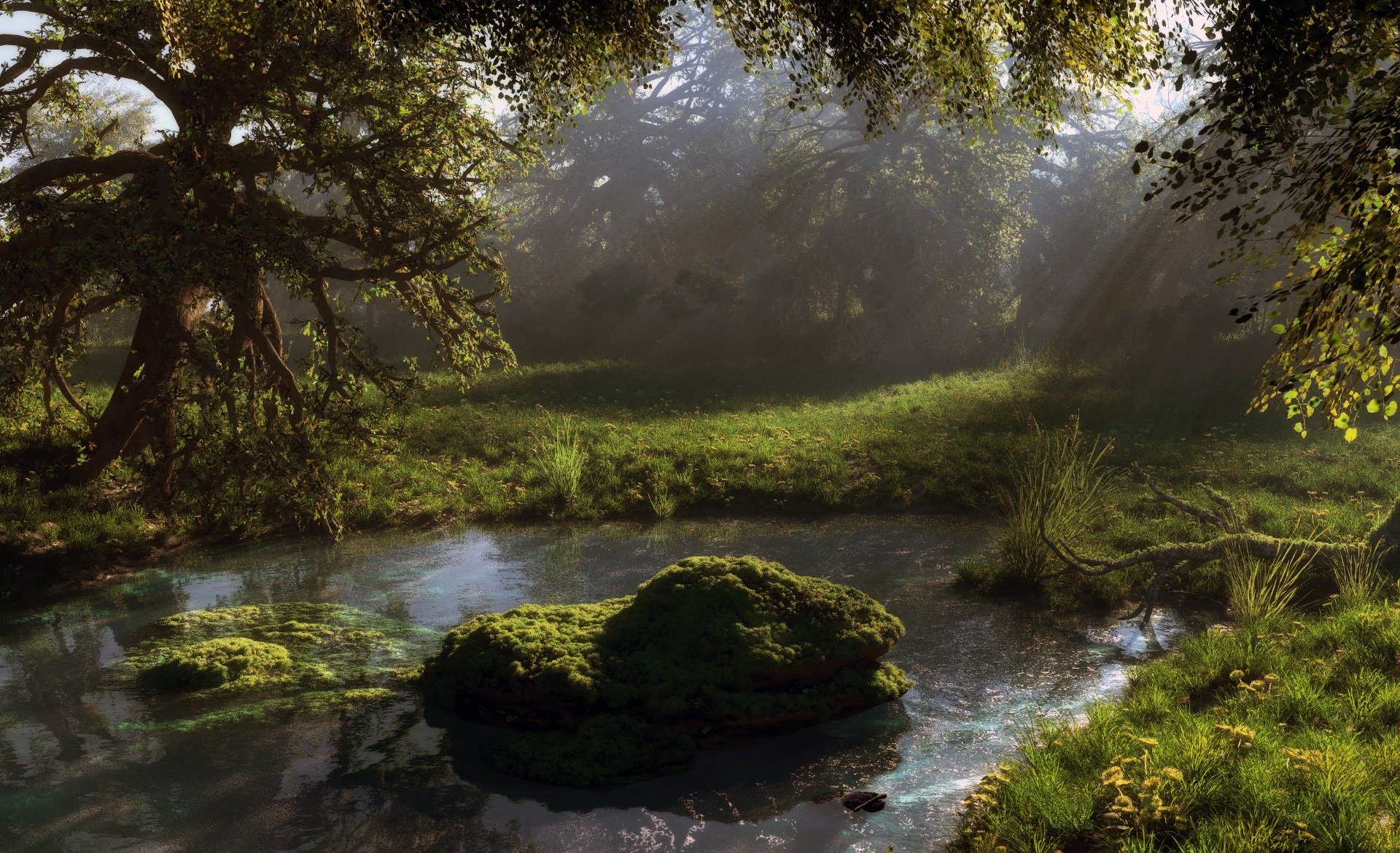 kunst klontak natur steine wald moos teich wasser teich laub