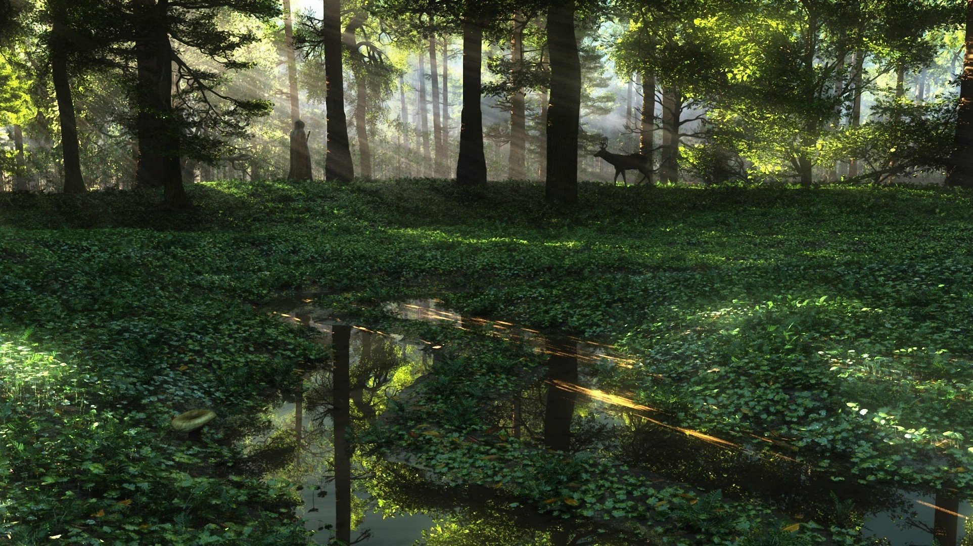 l art la nature l homme le chevreuil le soleil la forêt les flaques d eau l eau les plantes