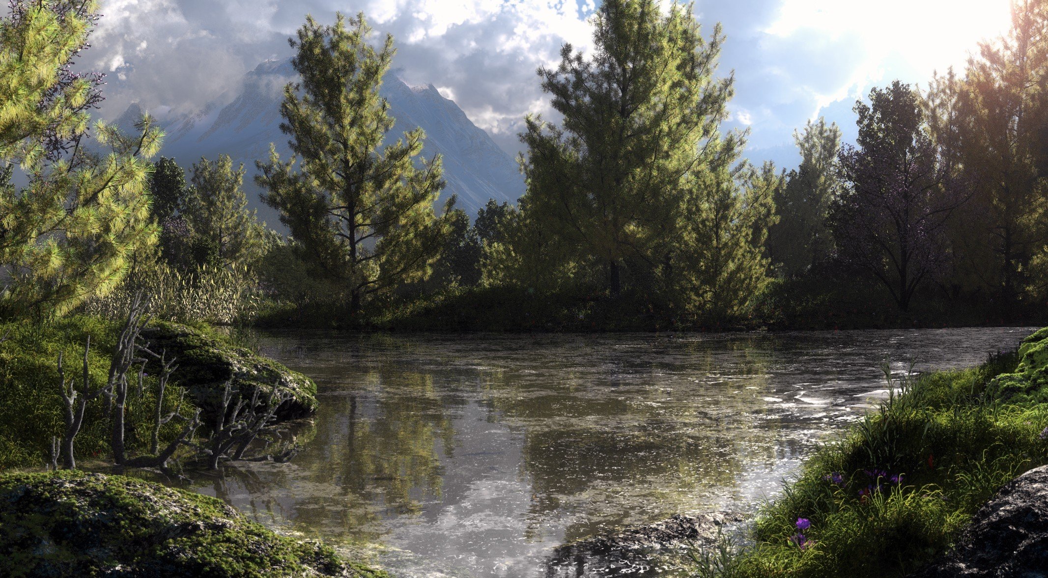 art klontak nature bog lake forest tree mountain pond