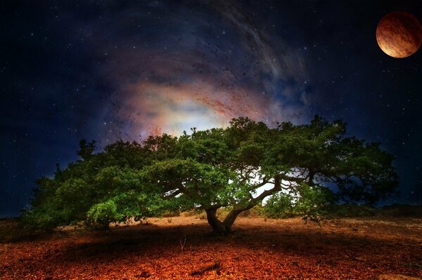 Galaxien und ferne Planeten am Nachthimmel