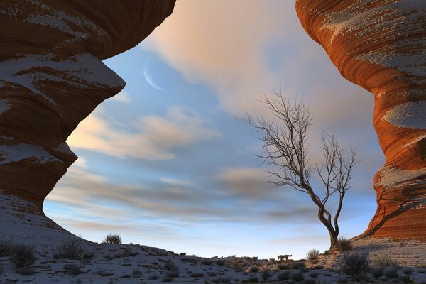 L arbre solitaire au milieu des rochers