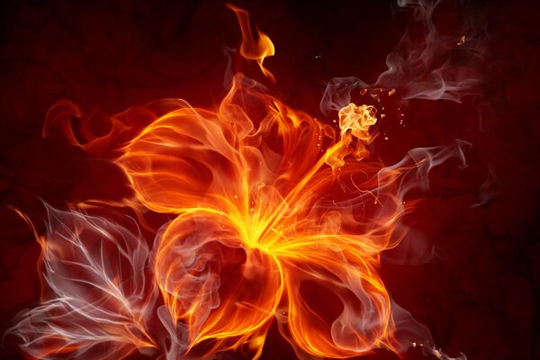 Abstraction. A flower made by fire