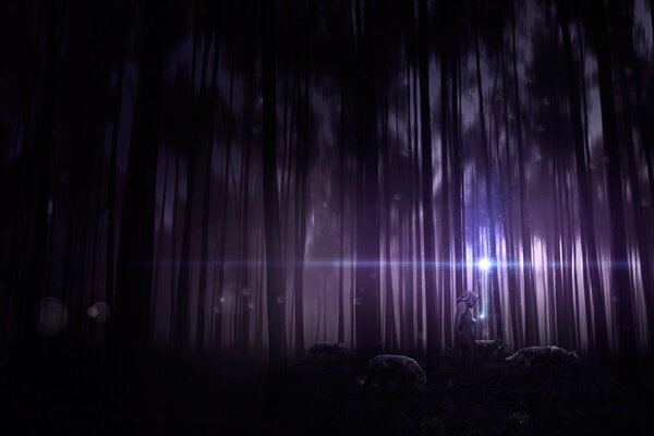 Poppy among the dark forest with a light ball