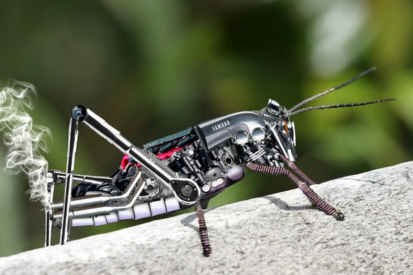 Inusual robot saltamontes de metal