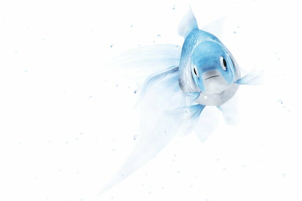 The pale blue fish reflects the minimalism of the picture