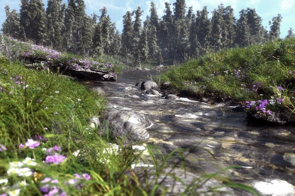 Ein Fluss mit einem steinigen Boden, der mit Gras bewachsen ist