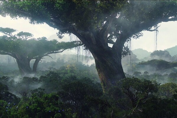 Old trees of the abandoned jungle