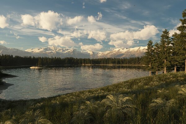 La forêt de conifères avec un petit lac,