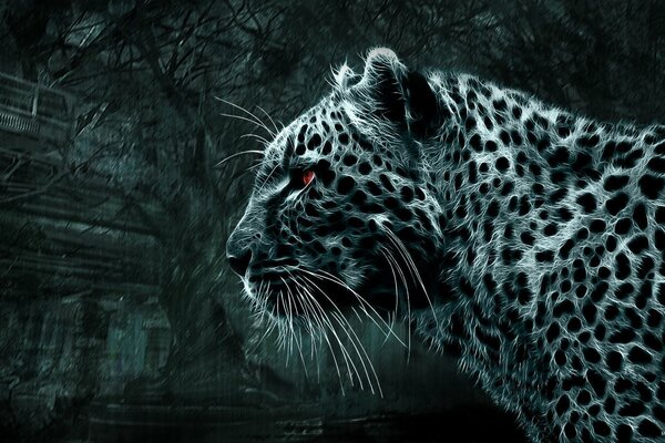 Imagen de leopardo en blanco y negro