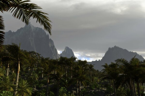 Palme sullo sfondo di montagne e nuvole