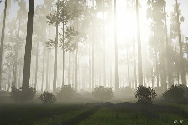 The sun breaks through the night fog