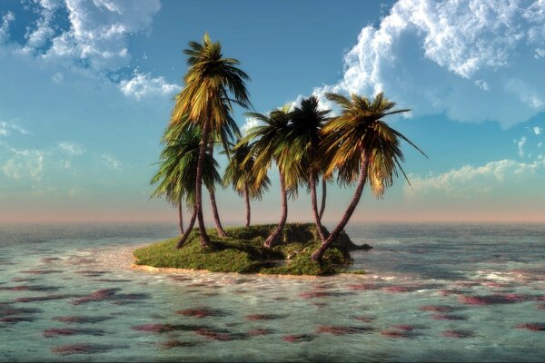 Clouds over a small island with palm trees