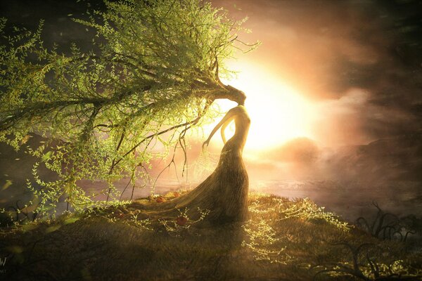 A tree girl stands on a hill against the sunset