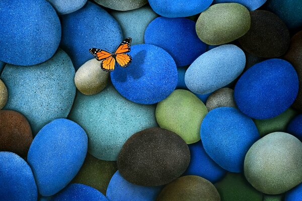 Fondo de pantalla piedras azules y mariposa