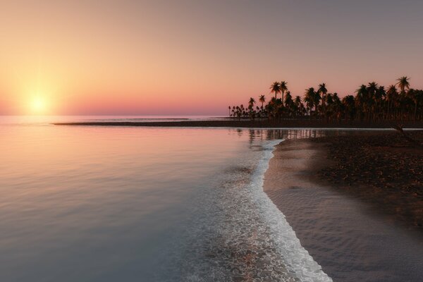 Tropischer Berggier , um eine Palme herum, wunderschöner Sonnenuntergang und Meer