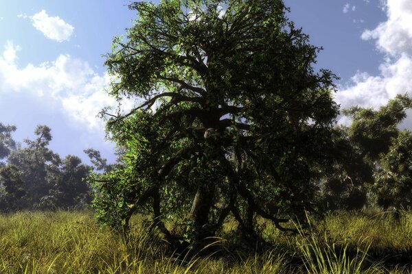 Naturaleza de verano, árbol y hierba