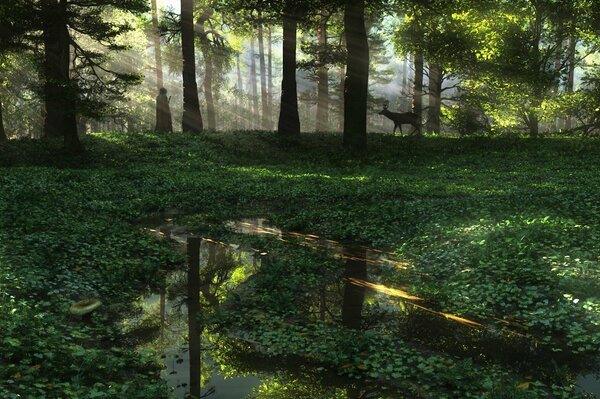 Unerwartete Begegnung zwischen Reh und Mann im Wald