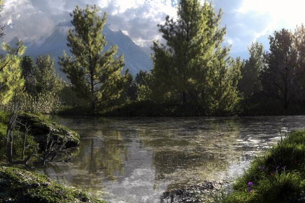 Giornata di sole nella foresta vicino al lago