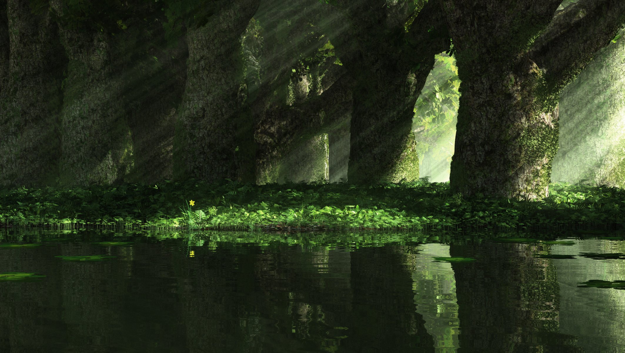 natur bäume gras strahlen licht narzissenspiegel