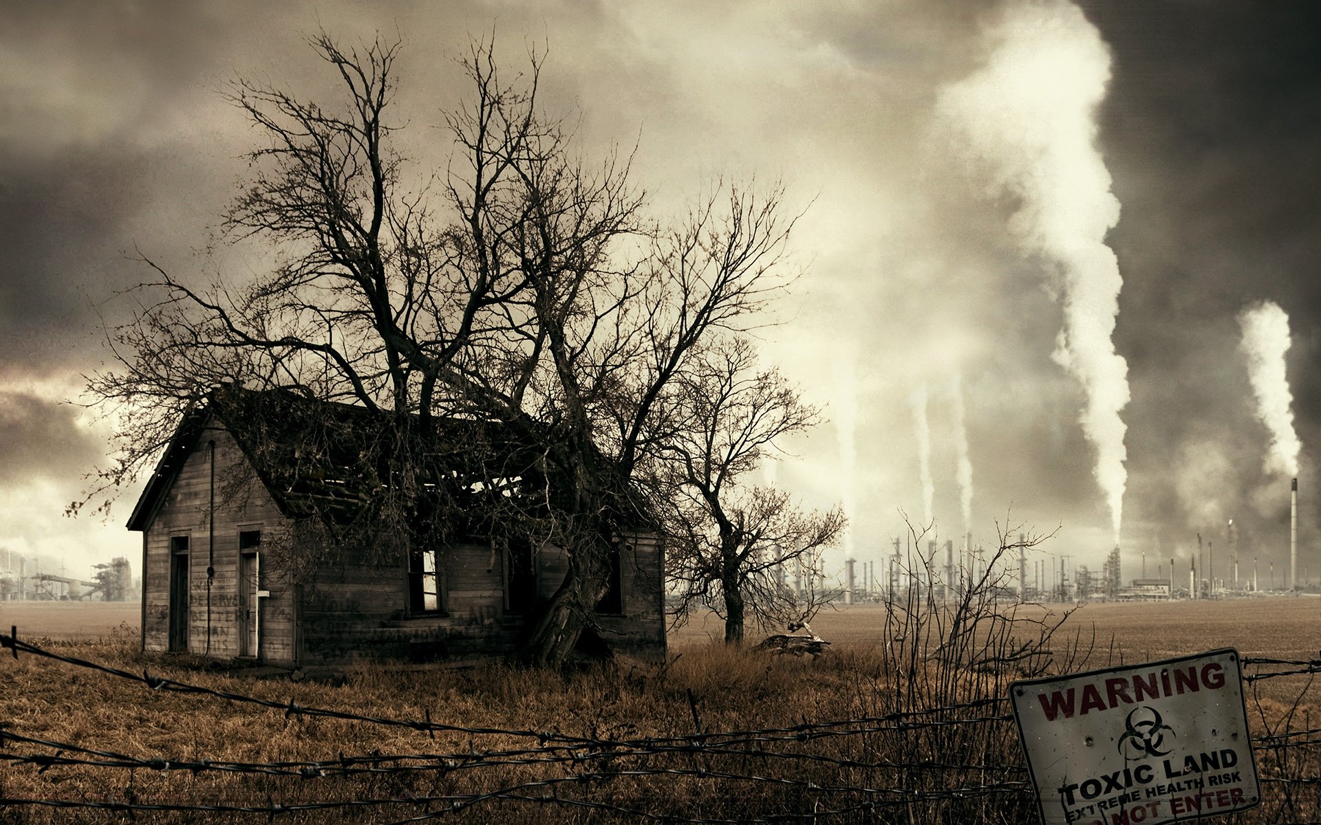 toxiques de la terre la maison l arbre la pollution toxique fils