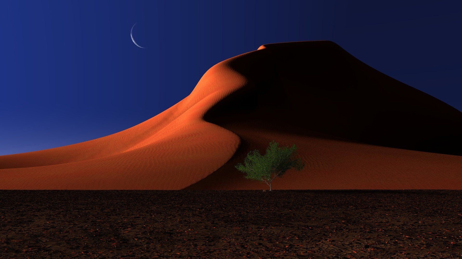 respite digital desert sand dune tree night moon