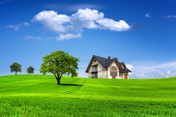 Paisaje sobre la naturaleza, verano, casa, casa, árboles, árbol, cielo, nubes, campo