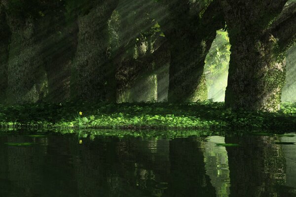 Naturaleza misteriosa en la oscuridad, luz de espejo, hierba verde