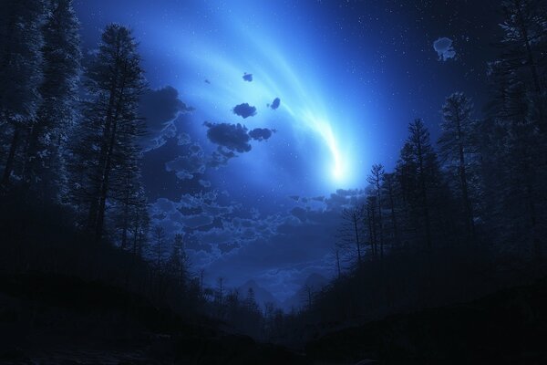 Fantastico bagliore nel cielo. Foresta notturna. La via blu