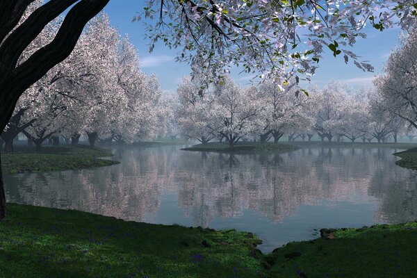 Flowering trees on the lake shore