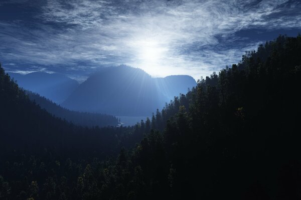 Wald und trübe Sonne am Himmel